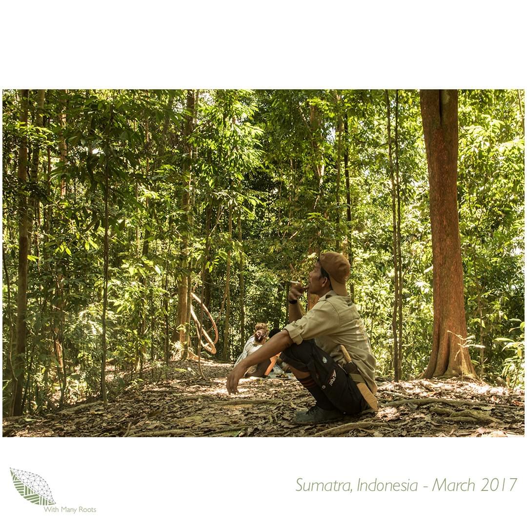 Photo of Local Orangutan Guide, Sumatra, Indonesia