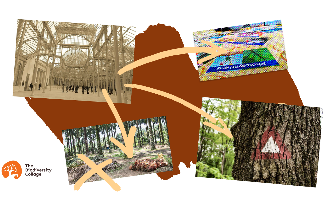 Biodiversity Collage - With Many Roots
